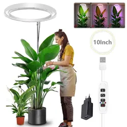 Enhanced Full Spectrum LED Grow Light for Indoor Plants with Adjustable Height and Dimmable Timer (White with EU Plug)