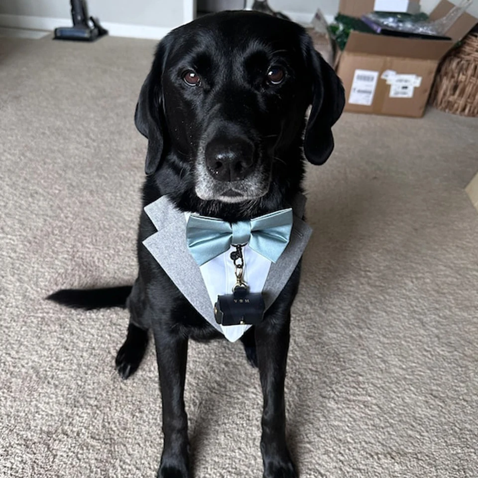 Ringbeveiliger | hond | RINGENDOOSJE | Styling voor Liefde