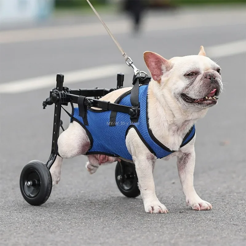 

Dog Wheelchair Disability Dog Hind Legs Bracket Cat Dog Injured and Weak Rehabilitation Aid Car Adjustable Pet Walk Booster
