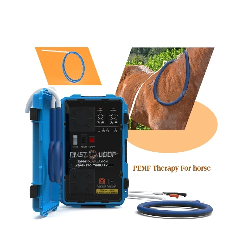 

High Power Veterinary Pemf Magnetic Therapy Device Pmst Loop Painless Horses Equipment Magnetotherapy for Race Horses Relax