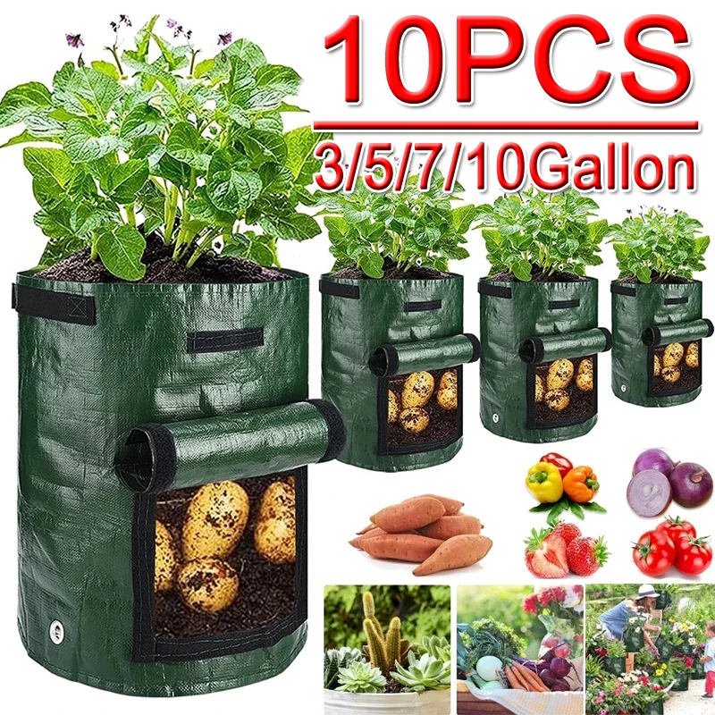 GardenTool Potato Grow Bag PE Vegetable Grow Bags with Handle Thickened Growing  Bag Vegetable Onion Plant Bag Outdoor Garden Pot - AliExpress