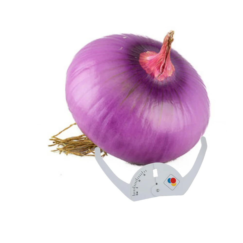 

Onion measuring ruler multifunctional fruit and vegetable circle diameter measuring ruler