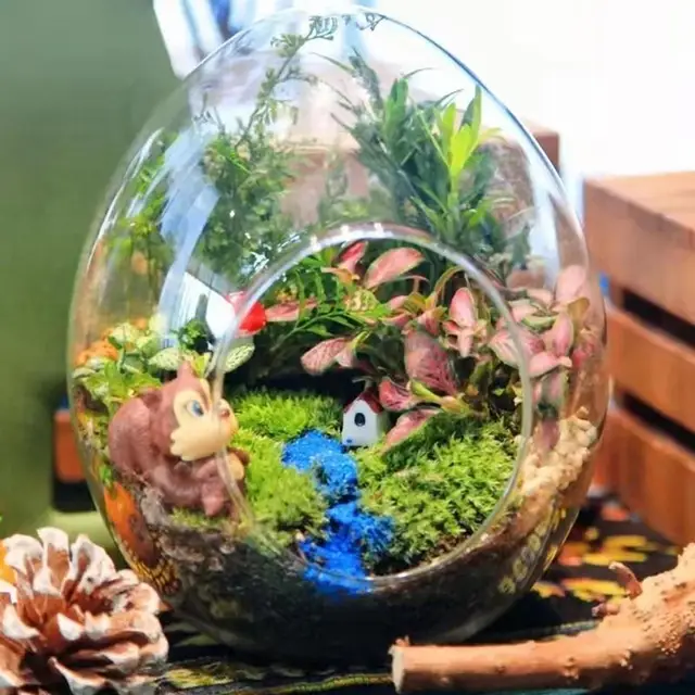 Természetes Sphagnum Sűrített Mohás Szerves Táplálkozási Műtrágya Orchidea Szárított Moha Védje A Kertészeti Növények Nedvességtartalmát - Image 6