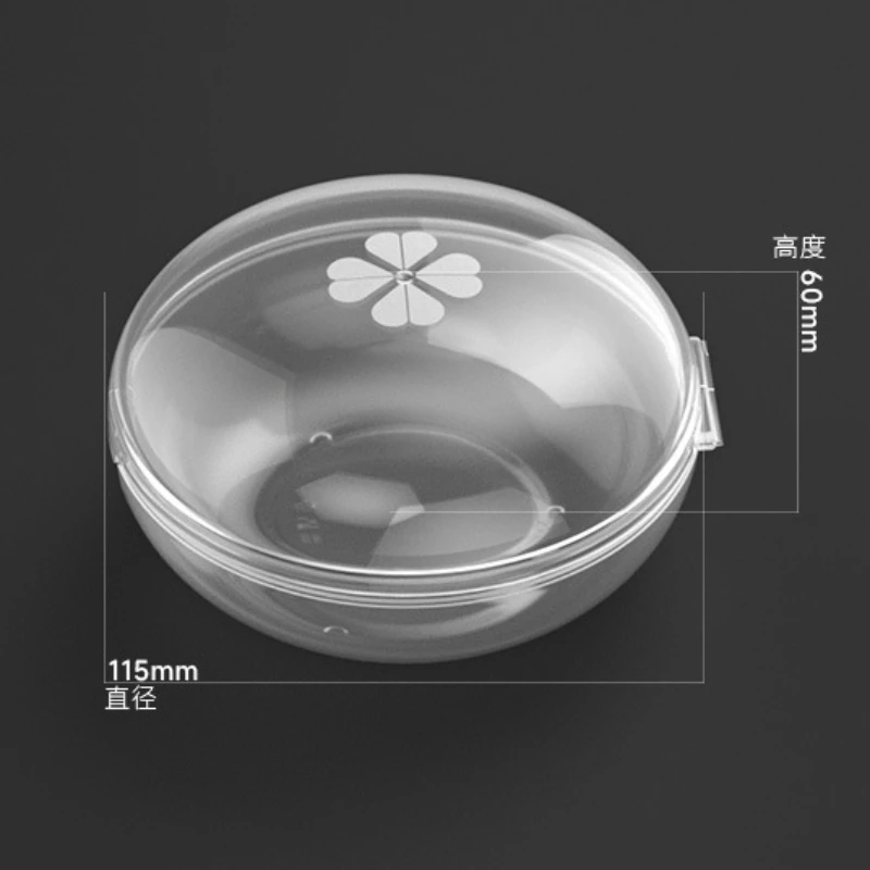 Portable Breast Milk Collector Case Anti-dust Nursing Pads Case PP Baby Pacifier Nipple Storage Box Transparent Nipple Organizer 6