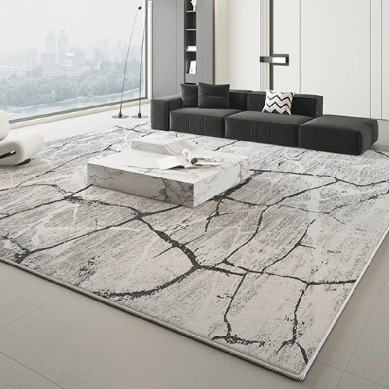 Large Area Rugs for Bedroom Thick Washable Lounge Floor Mat Fluffy Soft Cloakroom Rug Modern Style Living Room Decoration Carpet 4