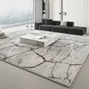 Large Area Rugs for Bedroom Thick Washable Lounge Floor Mat Fluffy Soft Cloakroom Rug Modern Style Living Room Decoration Carpet 4