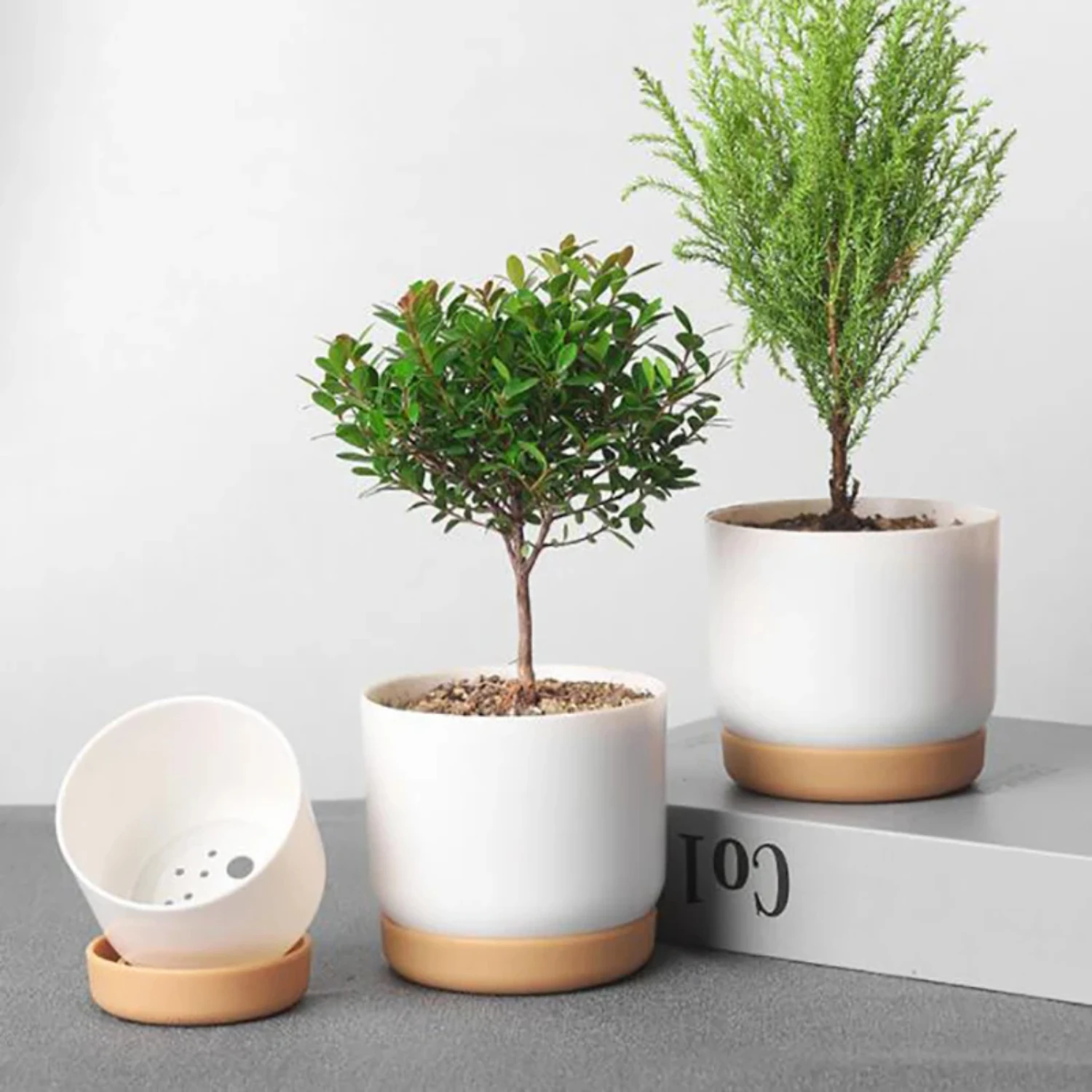 Double-Layer Succulent Pot 3