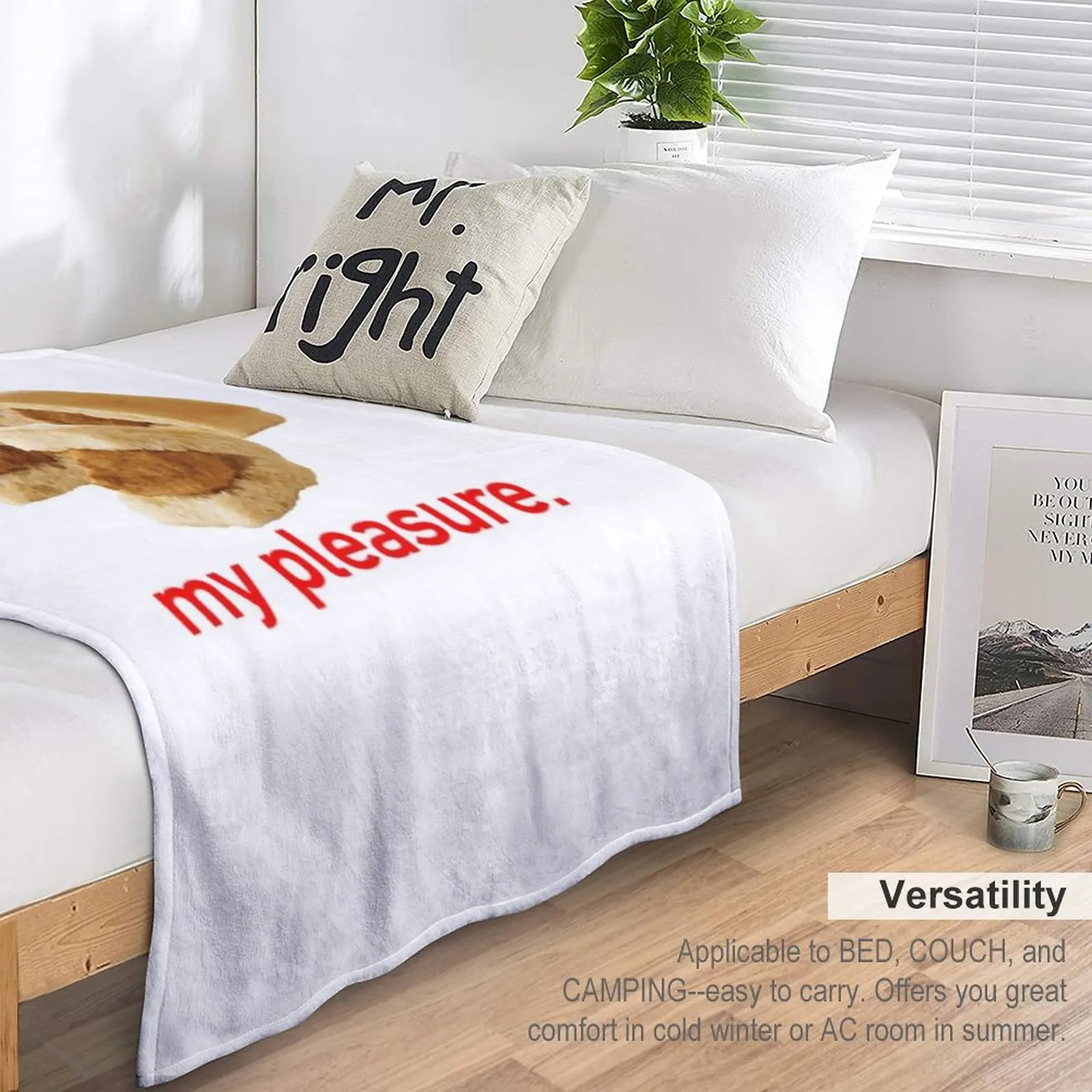 Chick-Fil-A Minis Throw ���, �Ŵ��� ���� ���, �ö��� ����