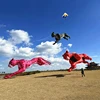 Giant soft kite pendant show kites weifang kite reel professional wind kites factory trilobites kites kitesurfing Outdoor toys 5