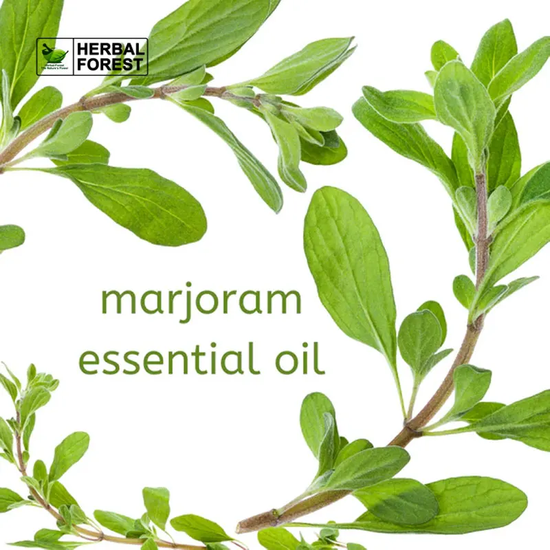 Рисунок 2 - Чистое Натуральное эфирное масло молочного дерева