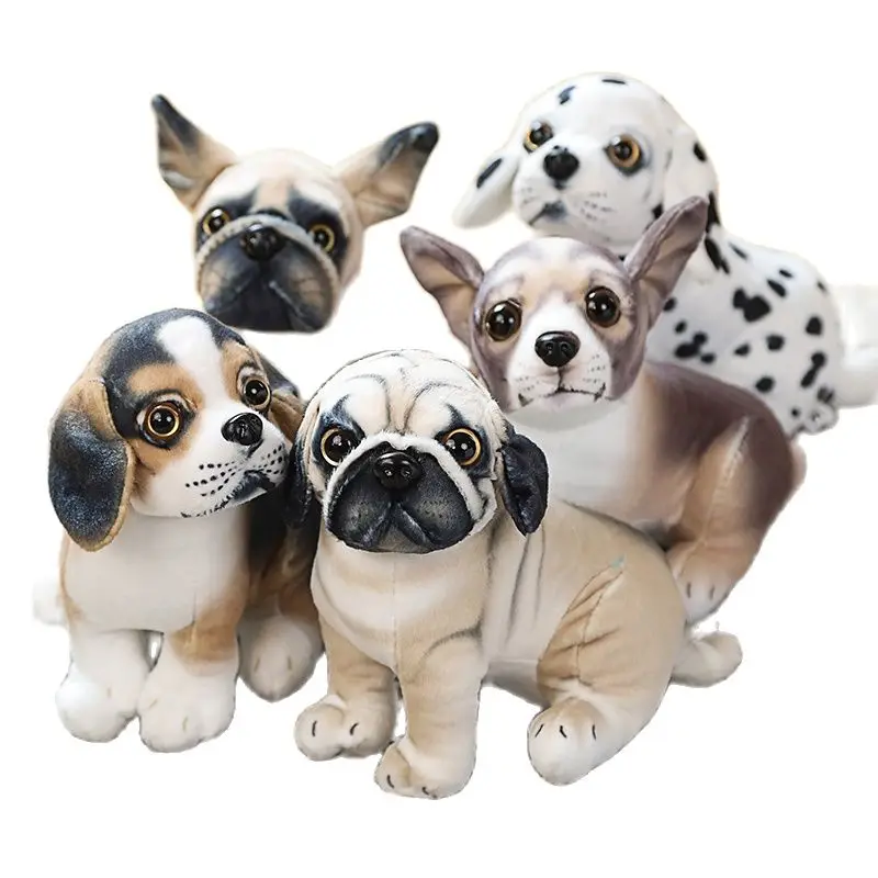 Pug Mixed With Dalmatian