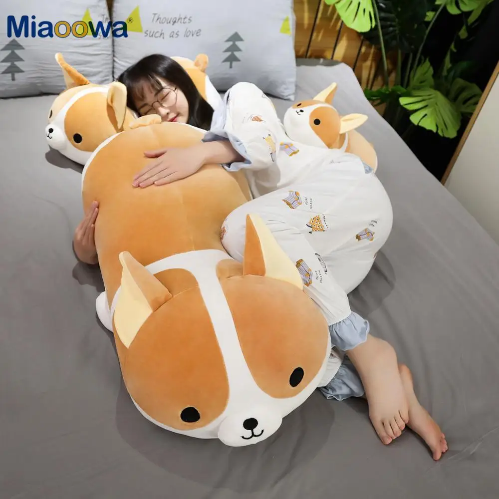 https://ae01.alicdn.com/kf/S4f372cf2f6c44d7db7747dc942c9d21ab/40-80cm-Giant-Size-Cute-Corgi-Dog-Plush-Toys-Stuffed-Animal-Puppy-Dog-Pillow-Soft-Lovely.jpg