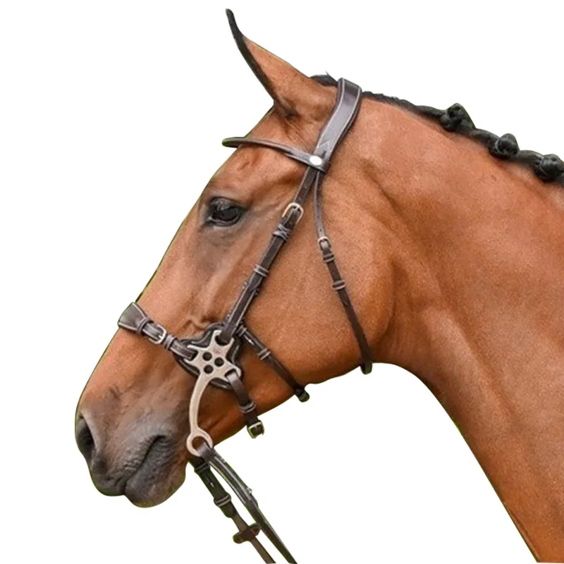 Stainlees Steel Hackamore Bit Cheeks Withou Mouthpiece 4