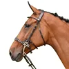 Stainlees Steel Hackamore Bit Cheeks Withou Mouthpiece 4