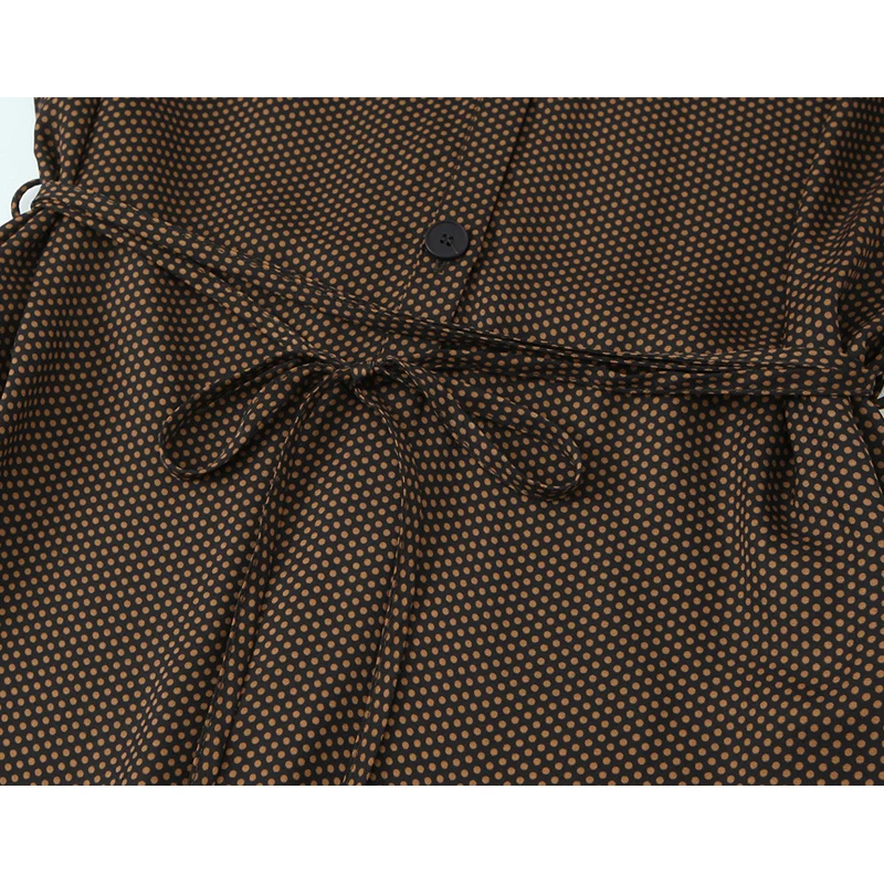 Woman Elegant Long Dress 2025 New Fashion Long Sleeve With Belt Women's Party Dresses Chic Polka Dot Printed Casual Midi Dress