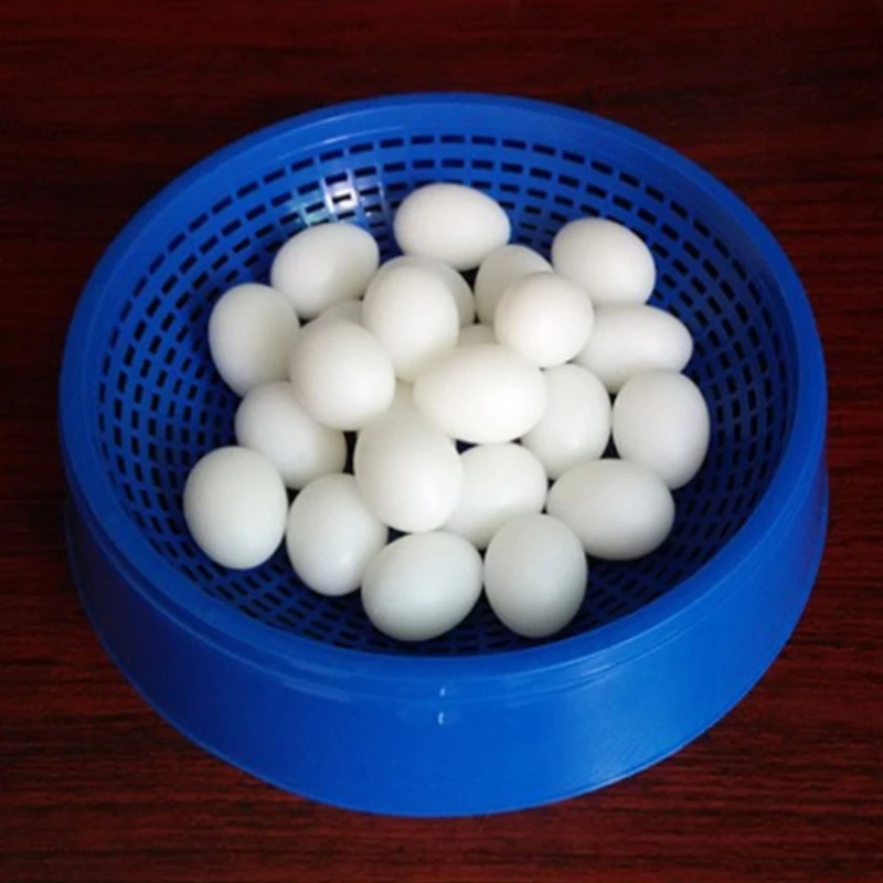 5Pcs Artificial Bird Eggs Solid Parrot Plastic Eggs Parakeet False Hatching For Parrotlet Diamond For Dove artificial egg decoration