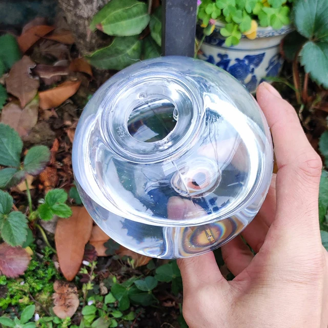 2PCS/4PCS Spherical Automatic Watering Lazy Person's Flower Watering Device, Small Succulent Dripper 3