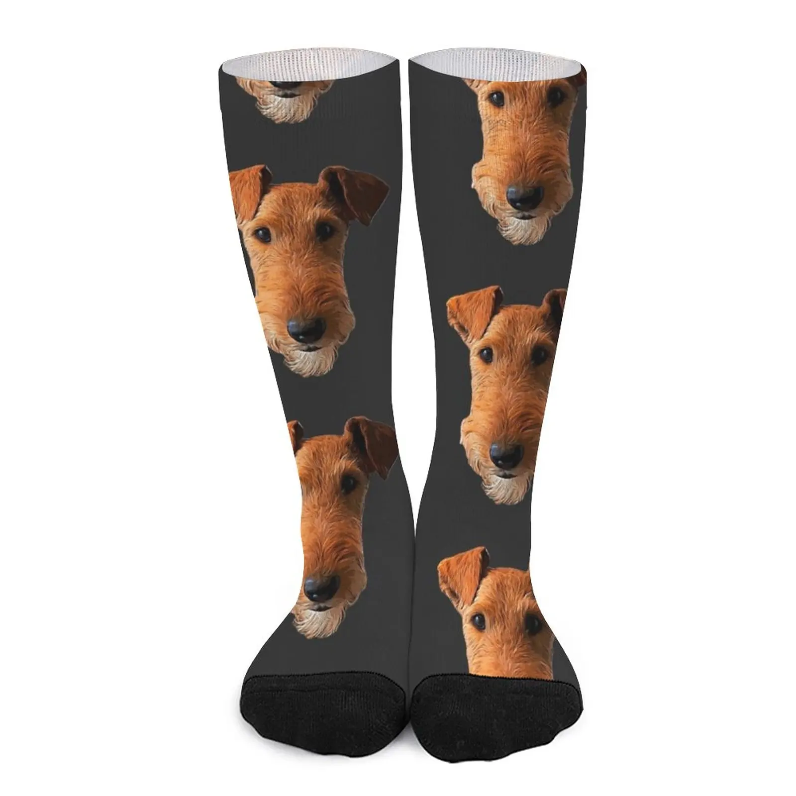 Airedale Terrier Head Art Lakeland Welsh Socks Women's socks high MEN FASHION Cartoon characters socks