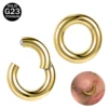 ZS 1PC G23 Titanium Hoop Earring for Men Gold Plated Circle Earring Large Gauge Seputm Nose Ring 2/4/6/8/10/12G Punk Earring 1