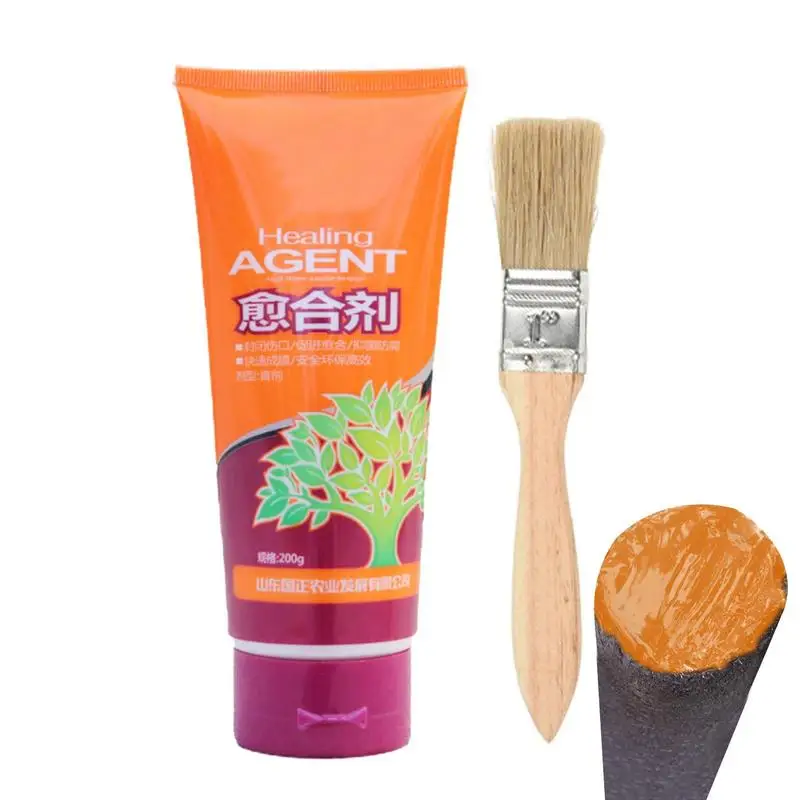 

Tree Wound Sealer Healing Sealant Bonsai Cut Paste Smear Agent Pruning With Brush Waterproof Sealant Glue Adhesion Promoter