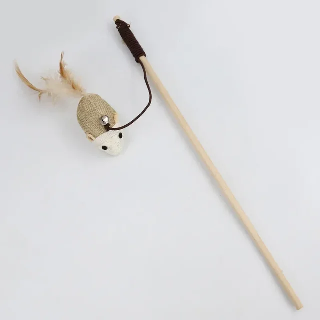 Image 7