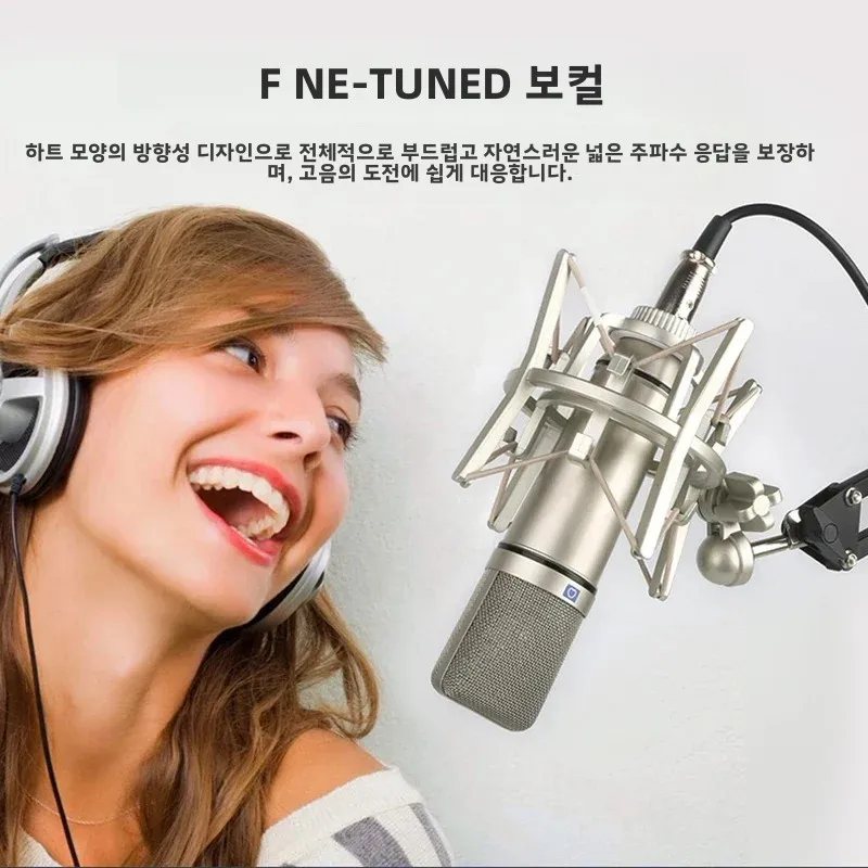 RAYHAYES U87 콘덴서 마이크 전문가용 카디오이드 스튜디오 마이크, 팟캐스팅, 스트리밍, 홈 스튜디오 녹음 장비