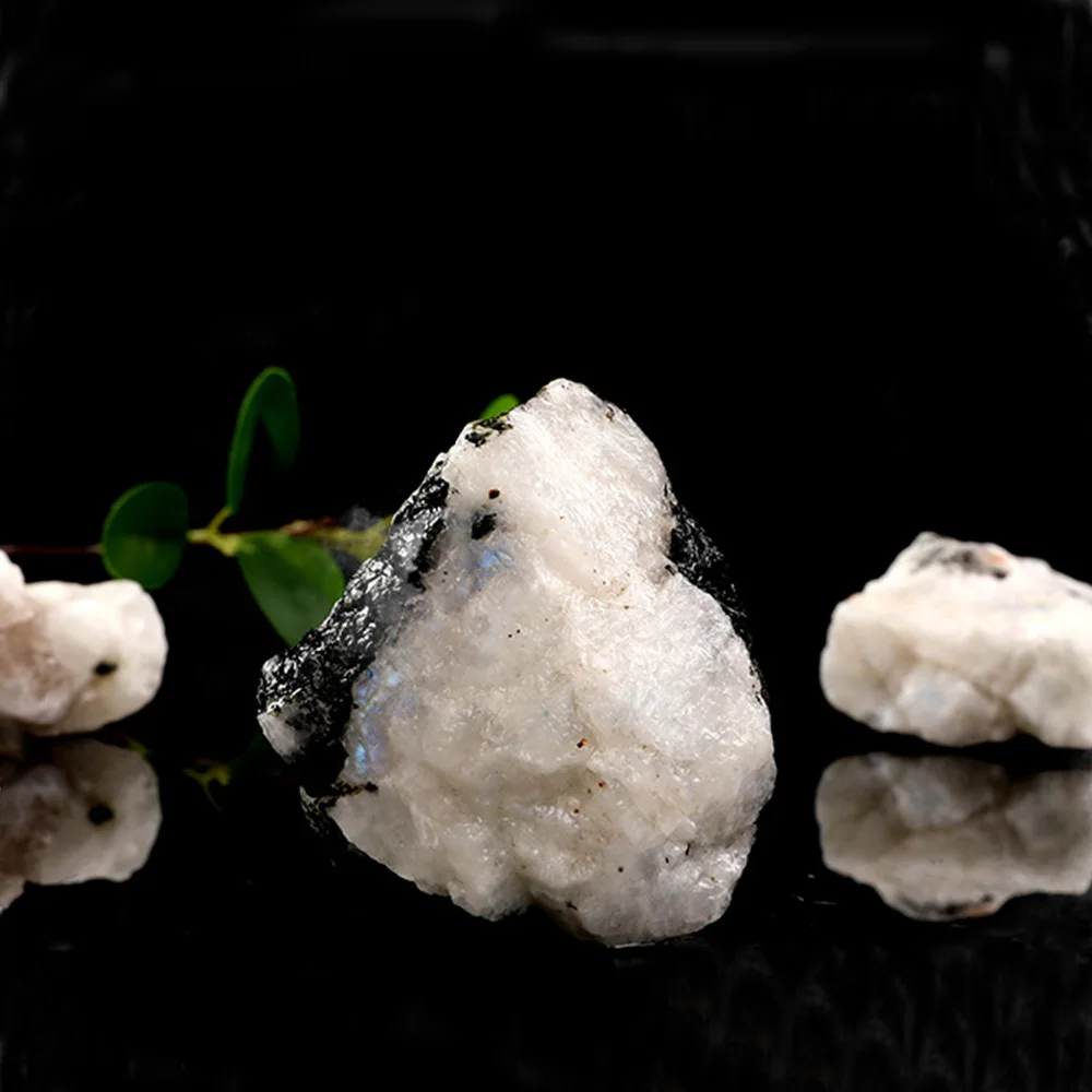 Pierre de lune blanche naturelle, pierre brute, gravier en cristal, poisson, précieux, pot de fleur pour Bouddha, décor à quartz, guérison citroën