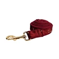 Dog leash