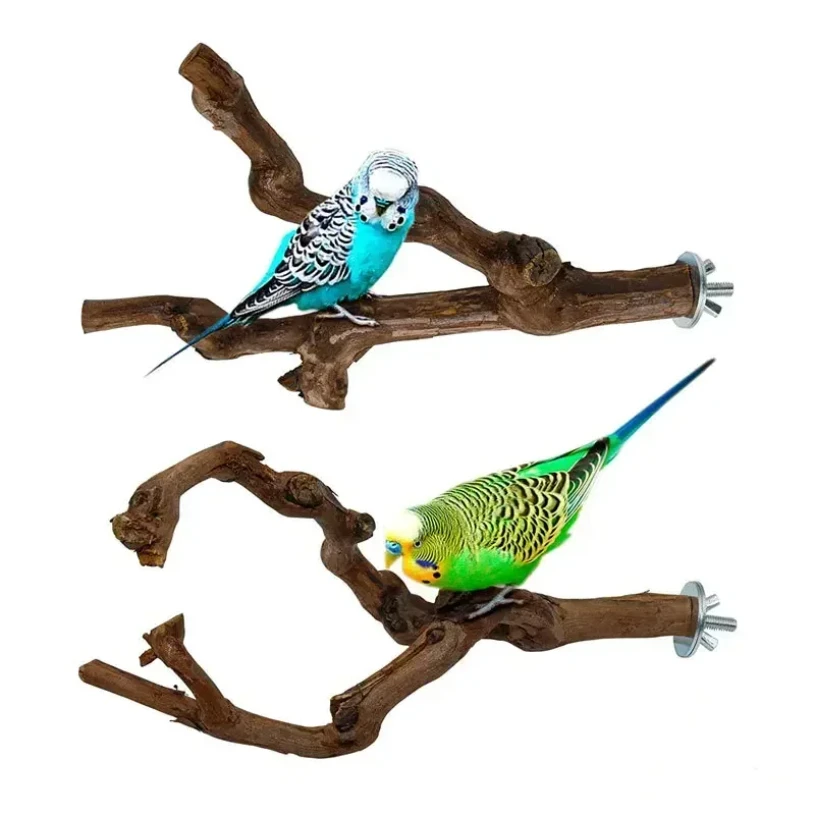 Pet Standing Stick 3