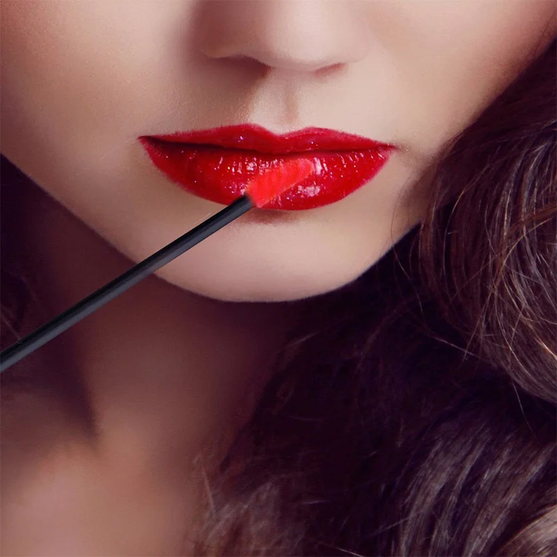 Multicolor Lip Brush Set 5