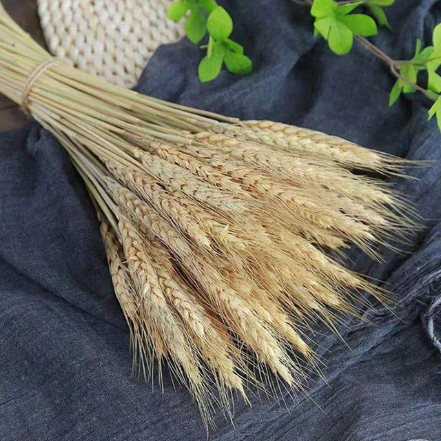 100pcs Artificial Golden Wheat Bouquet Dried Flowers with Stems DIY  Arrangement wedding photography props decoration accessories - AliExpress