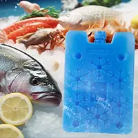 Climatiseur Portable, ventilateur, boîtes en cristal de glace, sac de glace, congélateur réutilisable, Pack de refroidissement sur glace pour le stockage des aliments frais, réfrigération 4