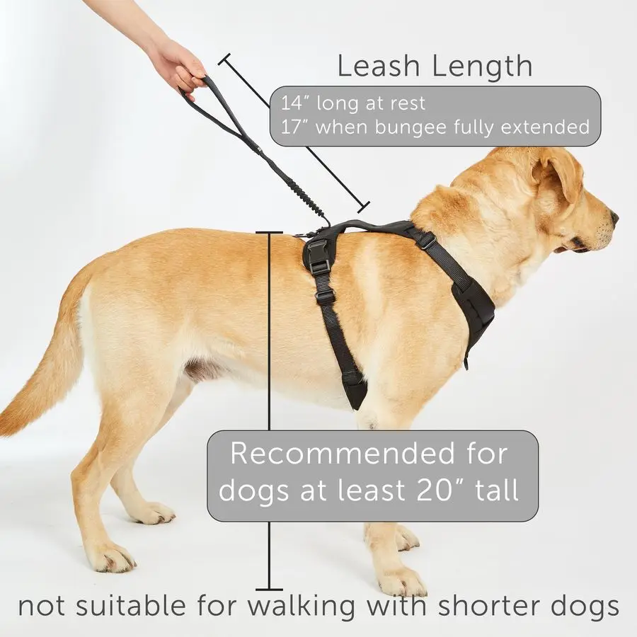 Grab Harness image 6