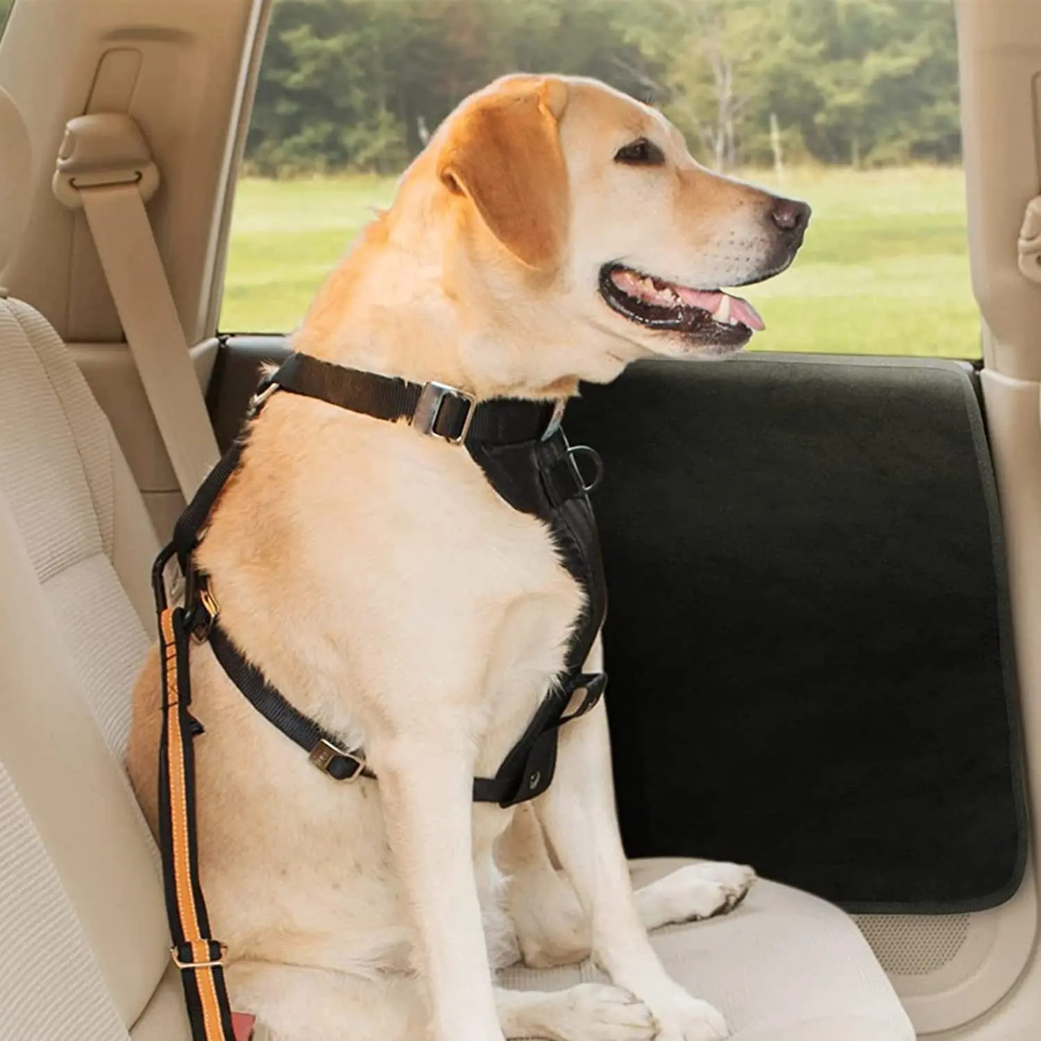 Protège Portière De Voiture Pour Chiens