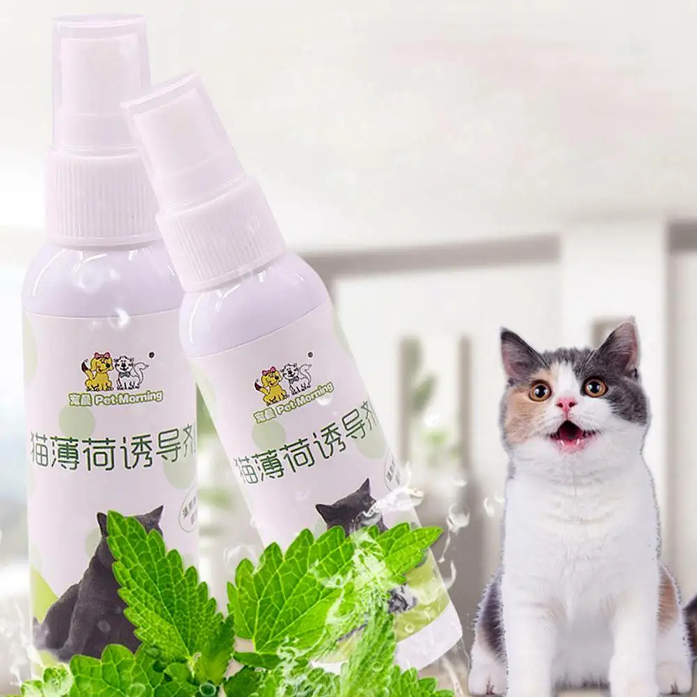 Cat Catnip Spray 50ml Cat Catnip Spray Natural Healthy Safe Long-term Effect Soothe Mood Scratching Pad Inducer Pet Training Spray Pet Supplies