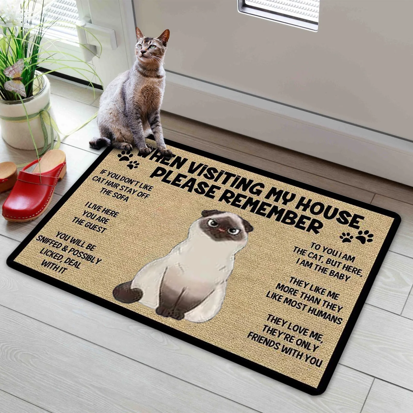 https://ae01.alicdn.com/kf/S4f6465d90d02479fb74a15a3b80c5966h/Keep-In-Mind-When-Visiting-The-House-Cartoon-Cat-Welcome-Doormats-Home-Decoration-Anti-slip-Front.jpg