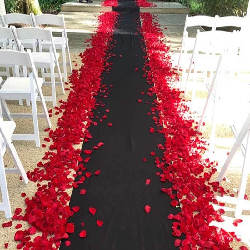 Black Carpets Wedding Aisle Runner Rug Runner Indoor Outdoor Weddings Party Thickness 2 mm Carpets for Living Room Area Rugs 5