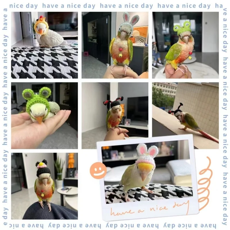 Budgerigar Cockatiel Peony Parrot Bird Hat Pet Wool Crochet Knitted Small Hairgear Headgear Casque Cover Birds Toys
