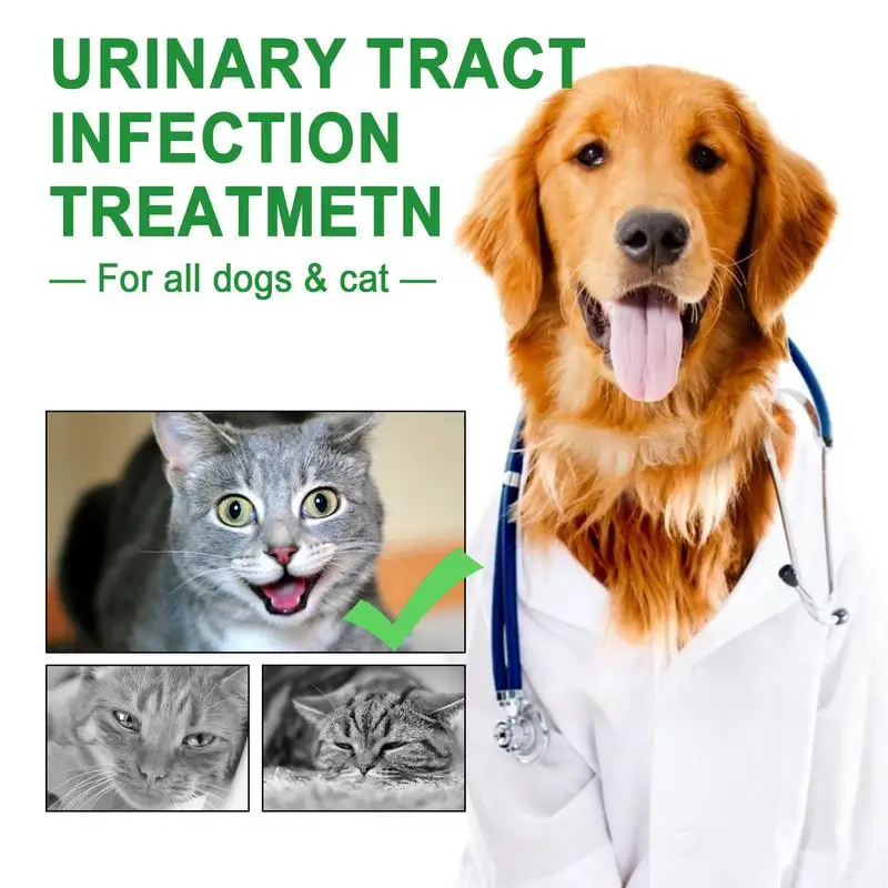 Pet UTI Treatments 60ml Cat Bladder Drops For Urinary Tract Care Multifunction