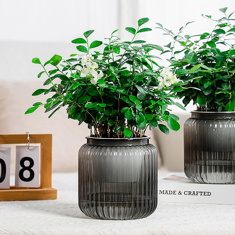 Tabletop Flower Pot Home Garden Bonsai Decor Succulent Hydroponic Plants Pot Self Watering Flowerpot Indoor Mini Planter Pots 4