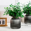 Tabletop Flower Pot Home Garden Bonsai Decor Succulent Hydroponic Plants Pot Self Watering Flowerpot Indoor Mini Planter Pots 4