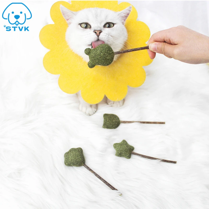 Pet Catnip Toys Edible Catnip Ball Safety Healthy Cat Mint Cats Home