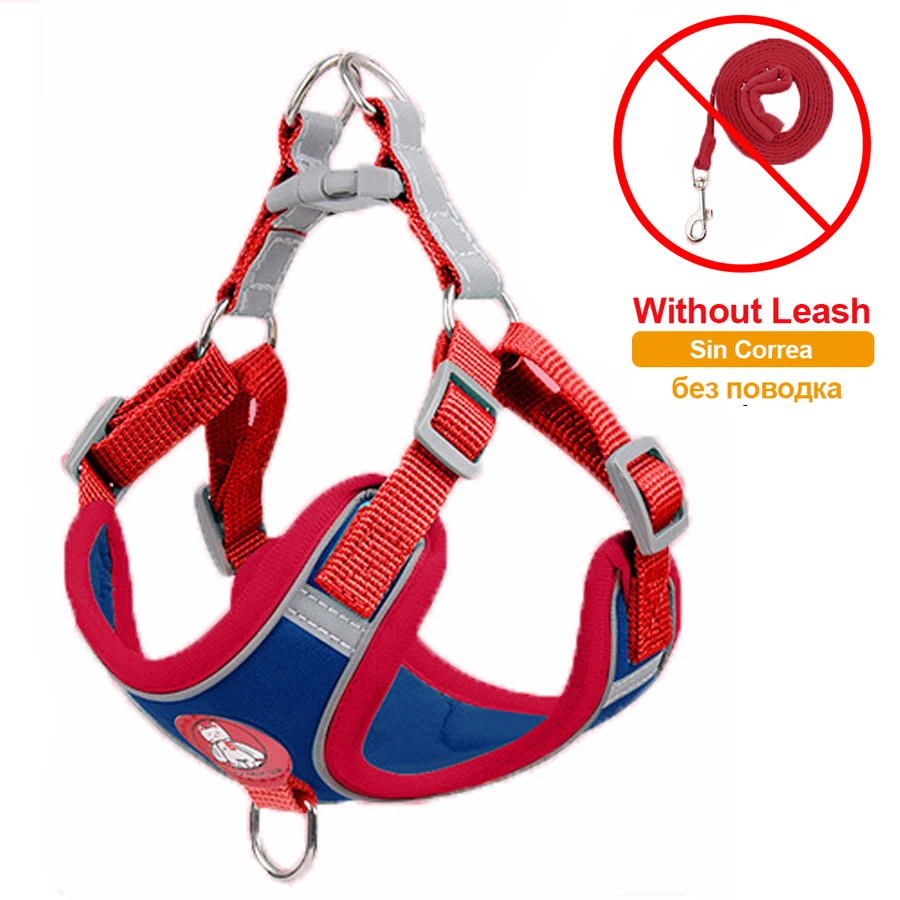 Red blue No Leash