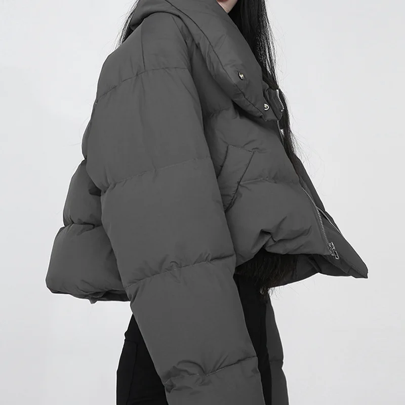 cotton-padded clothes for women  2022 winter short cotton-padded clothes design zipper high collar windproof thickened coat