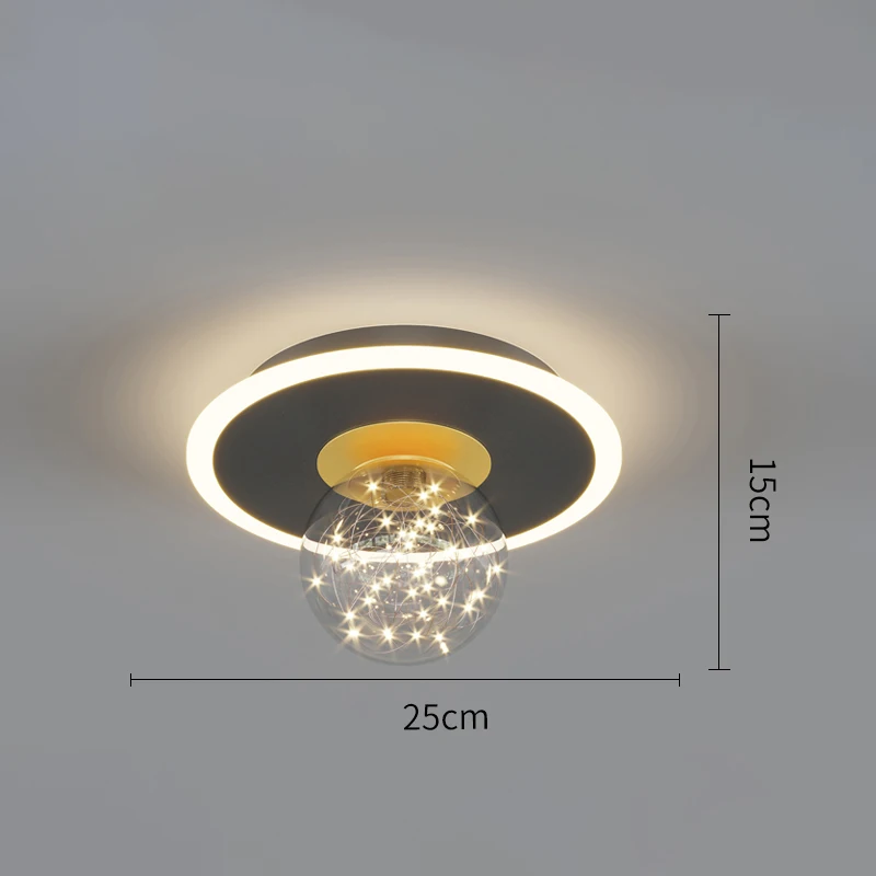 LED Ceiling Lights Interior Lighting Home Decor For Living Room Dining Table Bedroom Closets Corridor Modern Ceiling Lamp