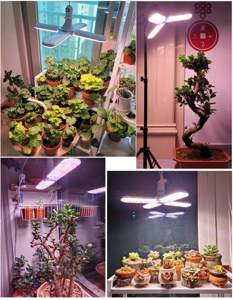 S4f71c93c2d55406d864d7587e4067c02x