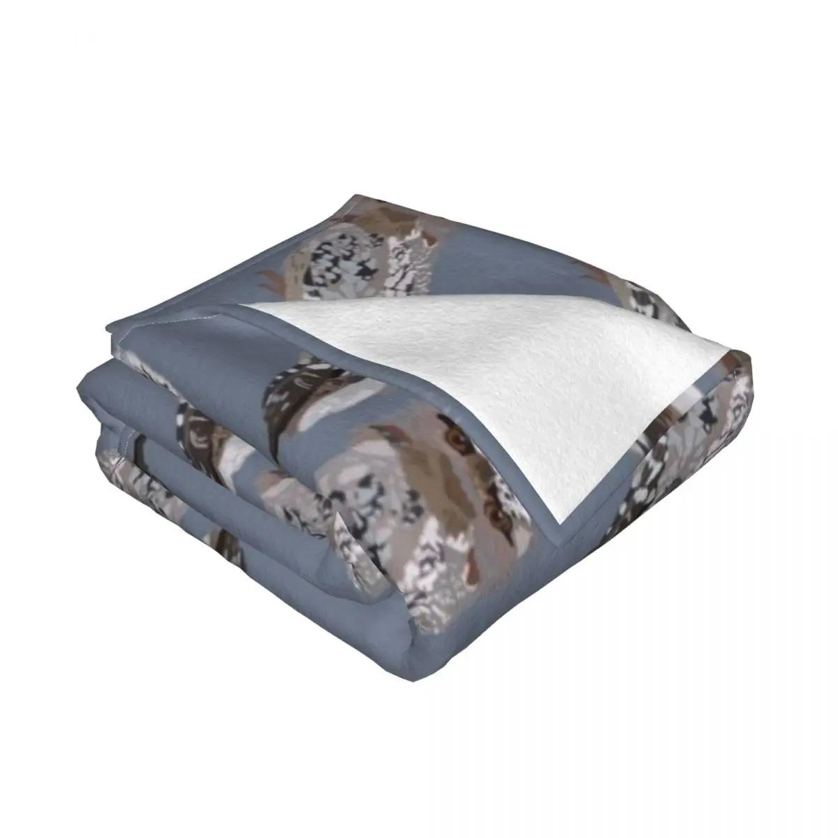 Tawny ������ �� ������ ���, ������ �ܿ� ���, ħ�� ���� ����, ǫ���� �� ���