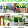 2PC  Plant Watering Globes Iridescent  Gradient Color Clear Mushroom Self Watering Spikes Plant Watering Bulbs Devices For Indoo 1