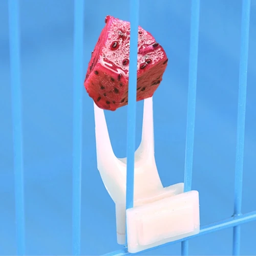 새 앵무새 과일 포크, 애완 동물 용품, 플라스틱 식품 홀더, 선반 먹이 케이지, 애완 동물 용품, 과일 간식 포크, 1 개, 신제품 2