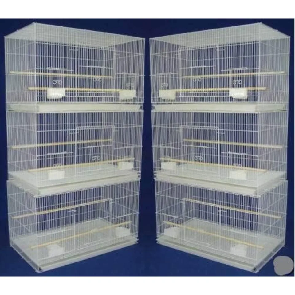 Set of 6 Bird Carrier Cages for Parakeets and Finches